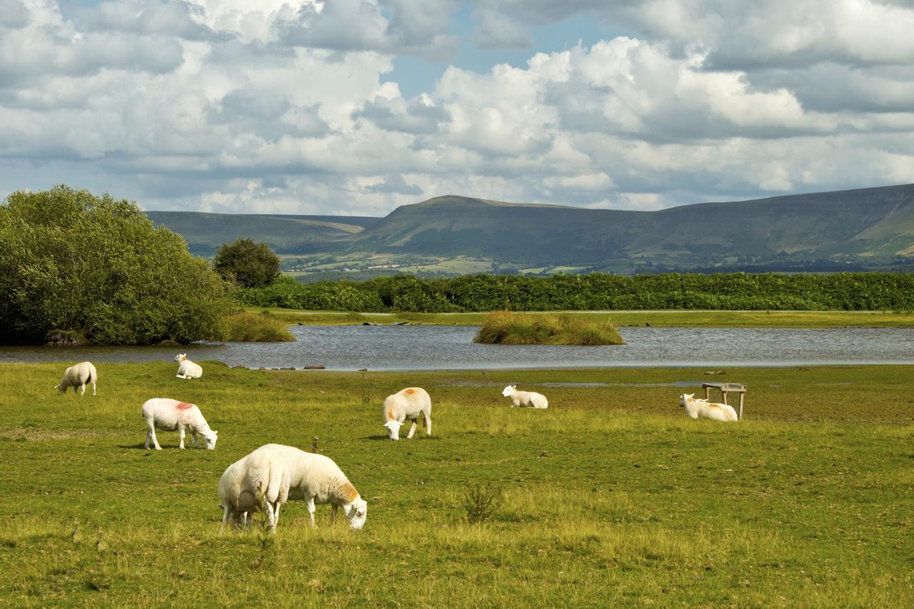 Brynderwen Bed & Breakfast Llangorse ภายนอก รูปภาพ